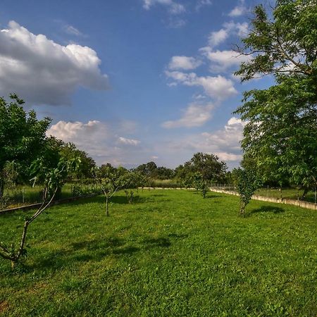 Ankin Dvor Villa Galovac  Esterno foto